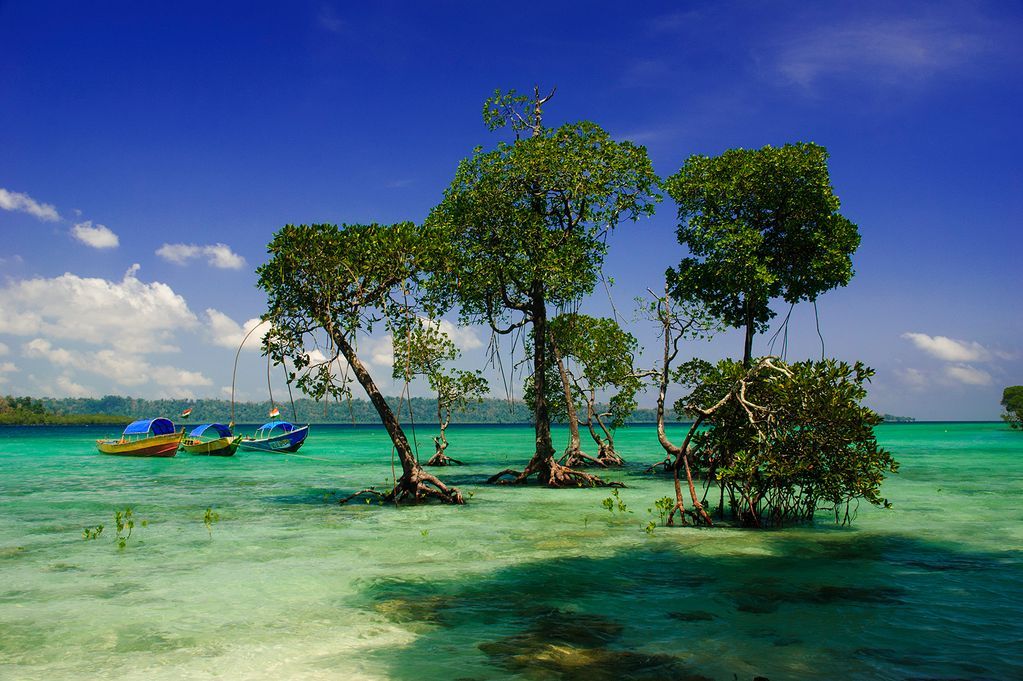 Andaman Packages 06 Nights/07 Nights